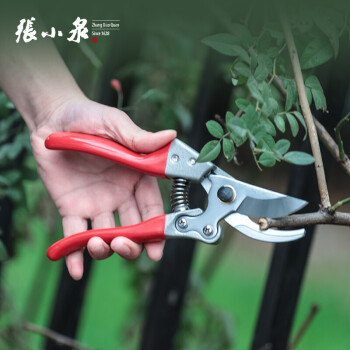 张小泉 园林剪220mm 修枝剪 剪枝剪 果树剪 园艺剪园艺工具ZH-303