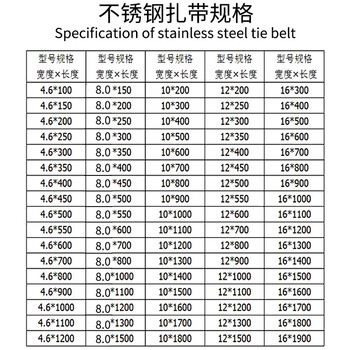 飞尔（FLYER）不锈钢扎带 金属钢带 束线带 电缆扎丝 黑色 100根/包【12×200MM】