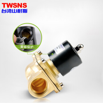 山耐斯(TWSNS) 电磁水阀开关常闭型铜气阀DC24V/AC220V系列  AC220V 2W400-40 /1.5寸接口