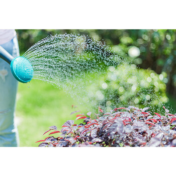 兰诗（LAUTEE）NX90 塑料洒水壶浇花壶淋水壶浇花喷壶长嘴园艺喷壶大容量花洒 9L