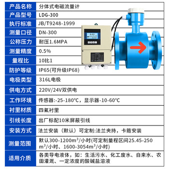 匡建仪表（CONJANT）LDG型分体式电磁流量计 液体污水高精度智能电子数显传感器防腐蚀四氟衬里DN300
