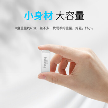 梵想（FANXIANG）8G USB2.0 电脑车载金属迷你小U盘F206 银色 防水防震企业竞标投标招标优盘