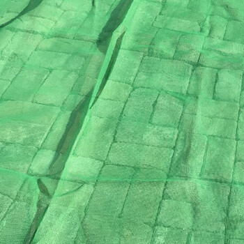 安惠（ANHUI）绿色扁丝防尘遮阳网 6针加密8*50M 定做 1张（5张起订）