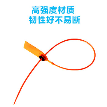 飞尔（FLYER）塑料封条 一次性标签吊牌扎带 防拆防伪扣100条【30×2.26cm下单请备注颜色】