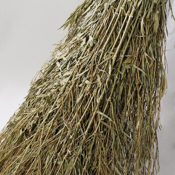 赫思迪格 JG-399 竹子扫把（10个） 竹扫帚 马路工地扫把 环卫大扫帚 竹竿扫帚 3.6斤（加竹杆）10个装