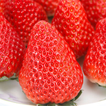 云南四季大草莓水果新鲜商用酸草莓水果2斤3斤4斤香甜奶油草莓特大果