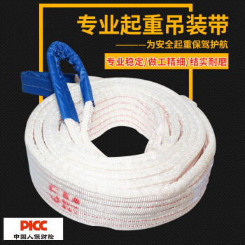力虎王白色扁平吊装带捆绑带救援绳应急带双扣环形5吨3吨拖车绳行车吊车起重工具5吨6米