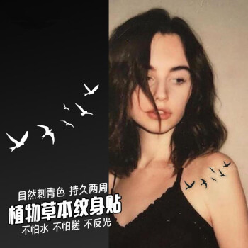 果汁纹身贴大雁燕子锁骨草本半果汁纹身贴性感ins风防水果汁大雁2张
