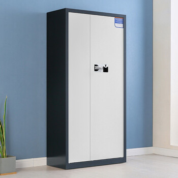 欧思泰 保密柜文件柜双保险铁皮柜办公柜电子密码锁档案柜国宝锁   通门灰白套国保指纹锁