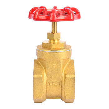 匡建仪表（CONJANT）铜截止阀 加厚黄铜 硬密封低进高出饱和蒸汽高温高压自来水阀门单向截门 DN50 