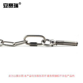 安赛瑞 不锈钢膨胀吊环 304不锈钢带圈膨胀螺栓螺丝 带环膨胀螺丝 M6×70mm（5个装）22873