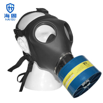 海固（HAI GU）700TPE全面罩防毒套装定做 面罩+三级罐E7 酸性套装