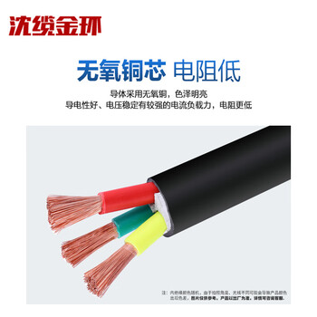 沈缆金环 ZR-RVVZ-0.6/1KV-3*6mm² 国标通信机房用阻燃软电缆 1米