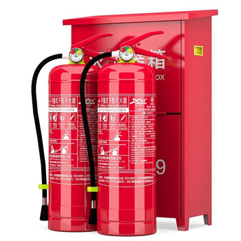 绿消 干粉灭火器 消防商用灭火器套装 4公斤干粉灭火器2具+灭火器箱组合LX-4kg-mhqx-ZH