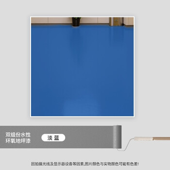 阿斯密 ASMES AS6215M 双组份水性环氧平涂哑光地坪漆面漆 20kg 淡蓝