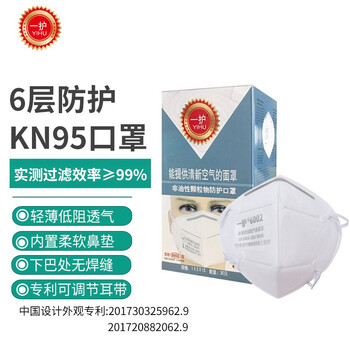 一护 KN95口罩 防雾霾防颗粒物口罩 20支装 6002