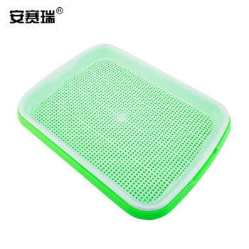 安赛瑞 芽苗菜盘 双层芽苗菜育苗盘小麦水培植盆育苗盆双层多功能芽菜盘 内盘32.3×23.5×3.6cm 绿色 530515