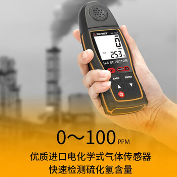 深达威（SNDWAY）硫化氢气体检测仪有毒有害气体监测报警仪气体检漏仪带报警器 SW-753A  
