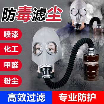 普达 防毒面具军全面罩过滤式自吸防尘喷漆打农药防氨粉尘生化 4001全面罩+4号中罐四件套