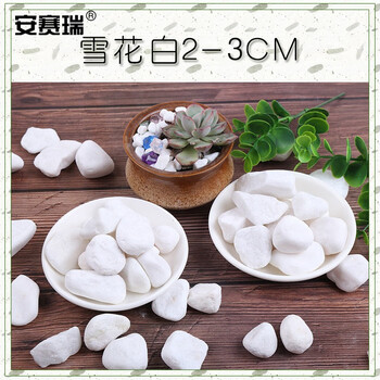 安赛瑞 白色石子（5kg）雪花白小白石子园艺绿植装饰铺面鹅卵石多肉铺面水族箱鱼缸石石径2-3cm 500044