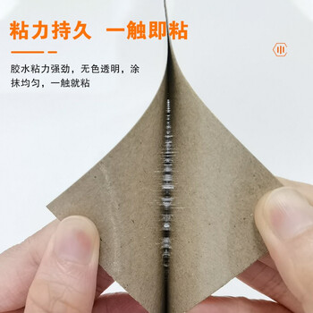 安赛瑞 黏蝇纸 强力粘蝇板苍蝇贴纸捕蝇粘 20片装 710674