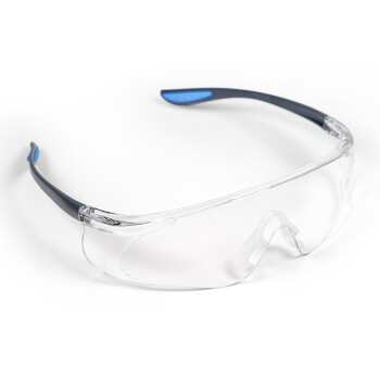 霍尼韦尔（Honeywell）护目镜 300110*10副 防雾防风尘 切割防飞溅 平光劳保眼镜S300A