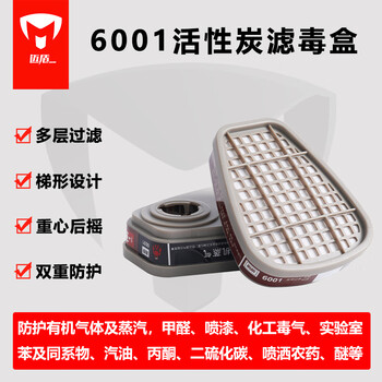 迈盾防毒口罩 防毒面具 防有毒气体活性炭口罩防甲醛喷漆口罩电焊口罩  602P套装