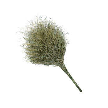 苏识 QJ0001 竹扫把环卫竹制大扫把马路扫帚 一体式大扫把（3.5斤） 一把