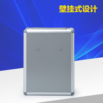 飞尔（FLYER）BM01-Z室外挂墙意见箱 铝合金意见箱 前投入口意见箱22*10.5*28安全保密