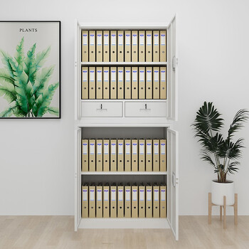 欧思泰OST-FSJ12电子保密柜密码柜档案柜资料柜钢制办公柜保密文件柜铁皮柜带锁保险柜   分双节电子密码