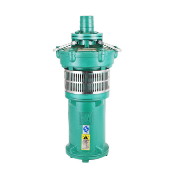 SRSC上海人民油浸泵充油式潜水电泵380V 3KW DN75 QY40-16-3 1台