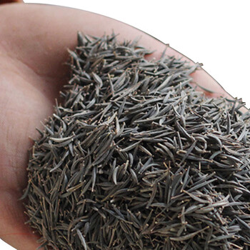 SB 矮杆波斯菊种子 阳台种植花籽 矮杆波斯菊种子 一斤价 企业定制