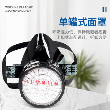 地球 2001 3号防毒面罩经济型自吸过滤式防毒面具 黑