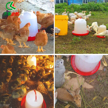 齐鲁安然 鸡用自动饮水器 家禽喂水器 饮水壶小鸡鸭鸽子水桶养鸡用品设备 鸡饮水桶【0.9升容量】