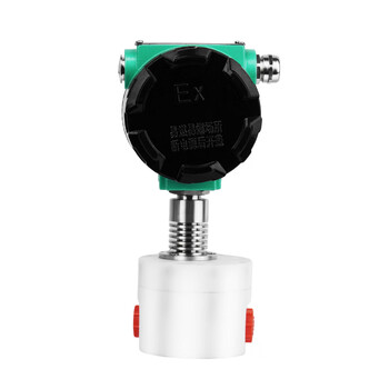 匡建仪表  圆齿轮流量计 液体微小流量计糖浆汽柴油树脂油脂沥青胶水高粘度 GF-25.量程（1000-12000L/H)