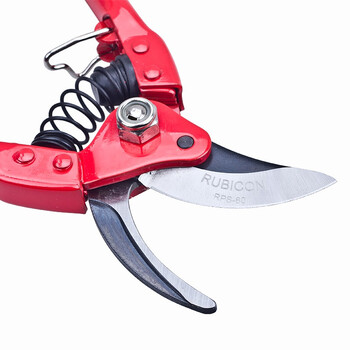 罗宾汉（RUBICON）园林修枝剪RPS-80树枝剪枝剪果树剪园艺工具 8寸整枝剪