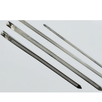 飞尔（FLYER）加长型卡扣式不锈钢扎带（100根装）10×1000mm 卡扣式船用不锈钢扎带金属扎带【FL108z】
