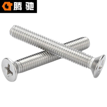 腾驰（CT）026 十字沉头螺丝 GB819 304不锈钢  M2*3（500支/包）