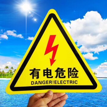 飞尔（FLYER）标签有电危险 安全警示标识贴 PVC不干胶贴 5cm黑色闪电 5张起订