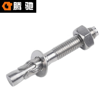 腾驰（CT）020 车修壁虎 316不锈钢 车修膨胀螺栓  M8*80（10个装）