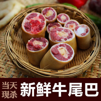 牛尾巴整根带皮现杀带牛尾骨肉原切新鲜农家散养正宗黄牛切段发货宏