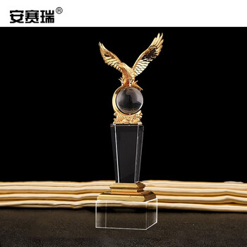 安赛瑞 展示牌定制 企业优秀员工表彰 运动会创意纪念标识  比赛颁奖礼品 水晶奖杯 精英世界28cm 701129