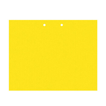 益美得 LD-3008 双面胶粘虫板15*10cm小号庭院大棚园艺茶园果园悬挂式诱虫板  40片装