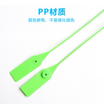 飞尔（FLYER）一次性塑料铅封 物流封条防伪标牌标签扎带 防调包扣扎带100条【50cm】
