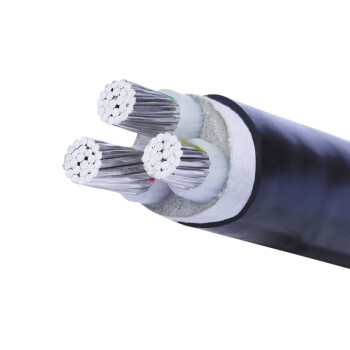 国超电缆 ZC-YJLV-0.6/1KV-4*10铝芯国标架空户外4芯电力电缆 1米【现货】