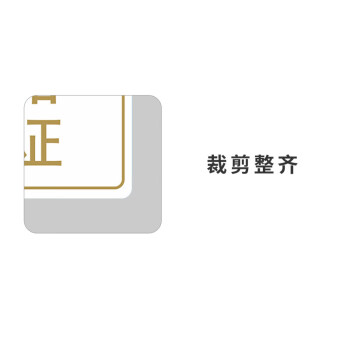 飞尔（FLYER）封口贴 透明防水长方形金银黑字封检验贴【25x20mm 金字 合格证 1000贴】