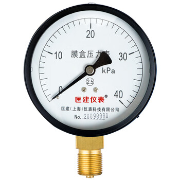 匡建仪表（CONJANT）YE-100 膜盒压力表天然气燃气微压表 0-40kpa