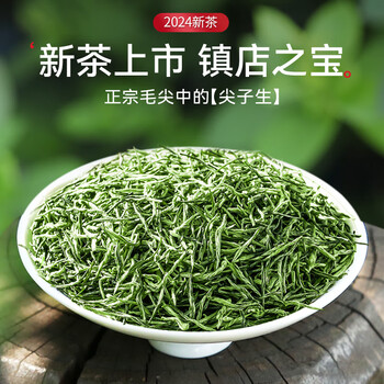 乐品乐茶绿茶毛尖茶叶特级250g  2024新茶明前春茶嫩芽自己喝礼盒装