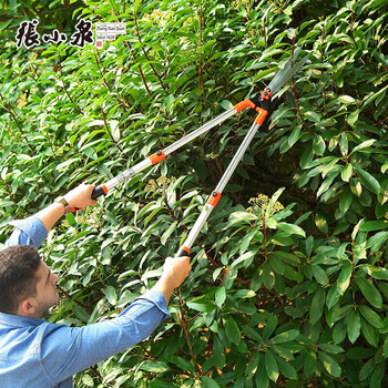 张小泉 园艺大剪刀园林果树修剪树枝绿篱剪修花修枝剪秋韵系列整篱剪 S10560200不可伸缩剪