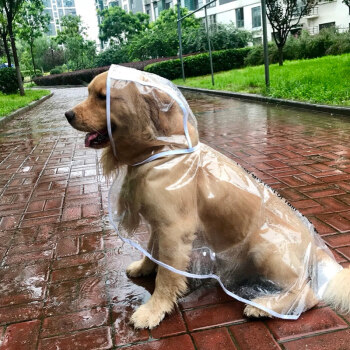 狗狗雨衣大型犬中型犬拉布拉多金毛柴犬宠物雨天衣服防水大狗雨披两脚